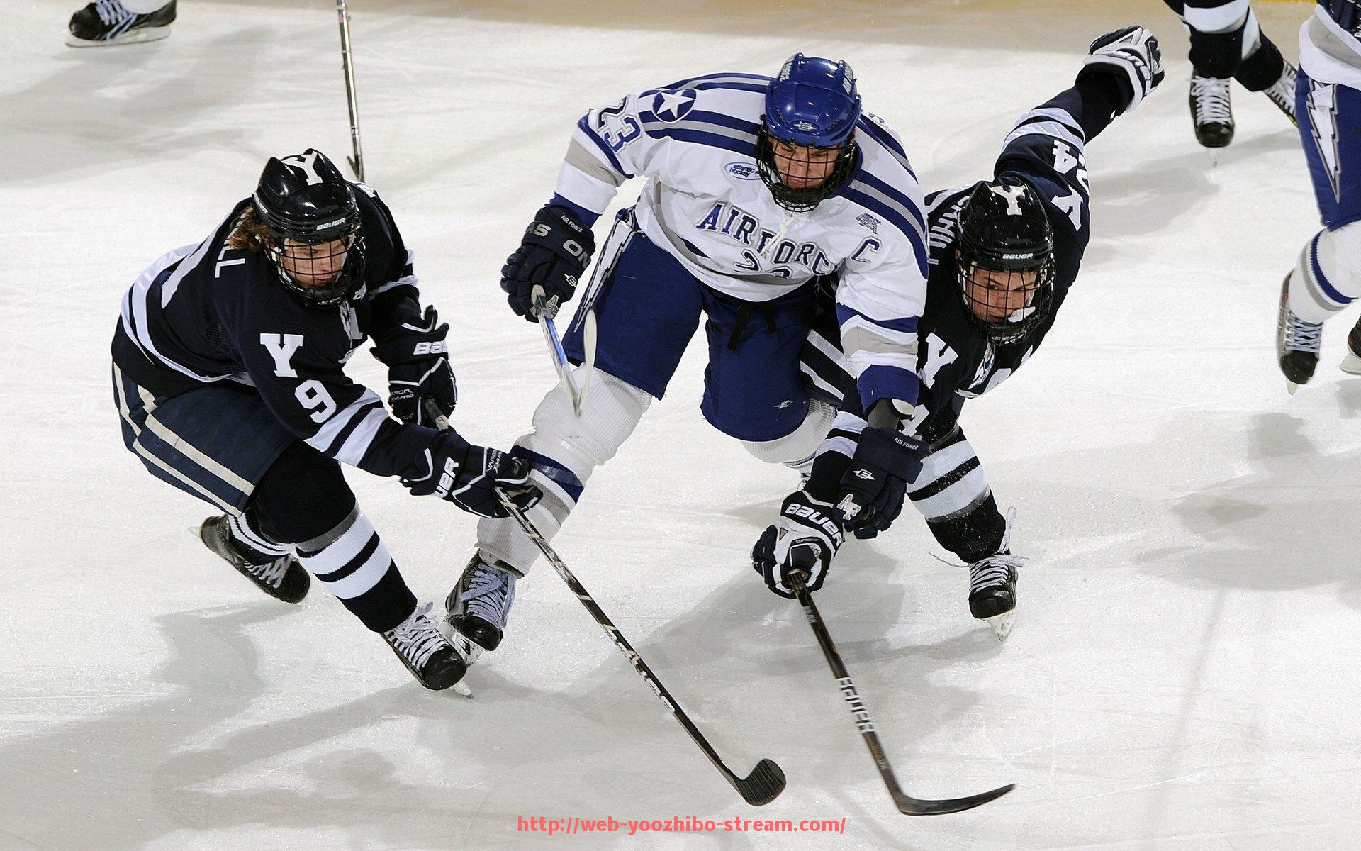优直播-健身器材定制服务如何开展，适合哪些用户？（健身器材装配）